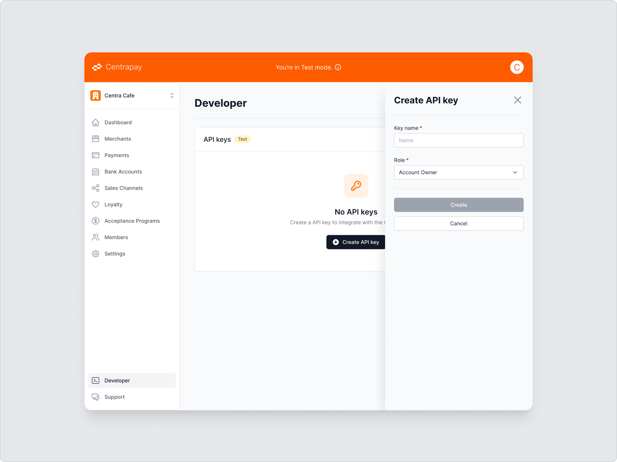The Create API key panel with key name and role fields